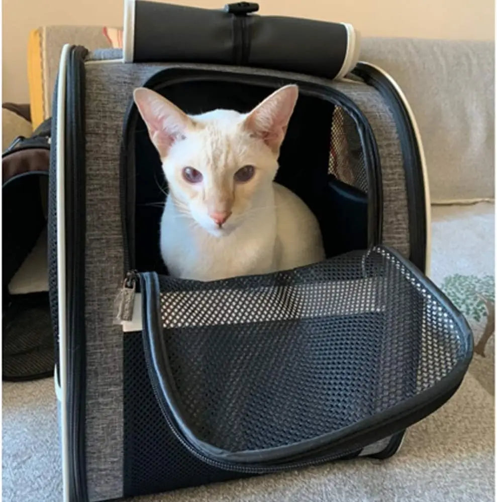 Pet Carrier Backpack With Window Blind For Cats And Dogs