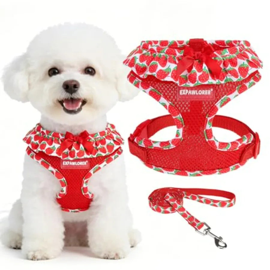 Dog Harness Leash Set Step In Adjustable NoChoke Mesh Vest