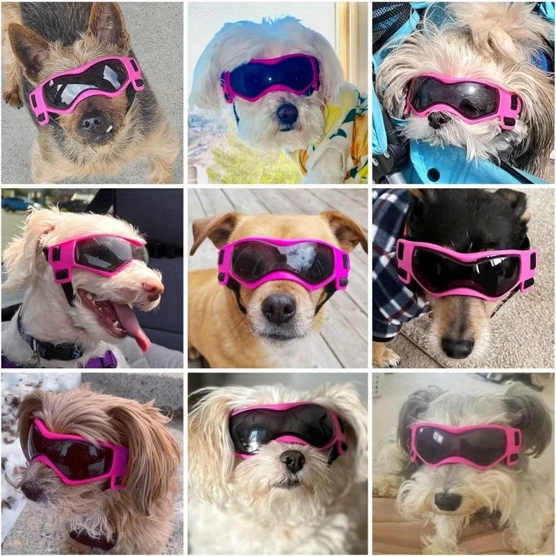 UV Protective Dog And Cat Goggles Eyewear For Outdoor Pets