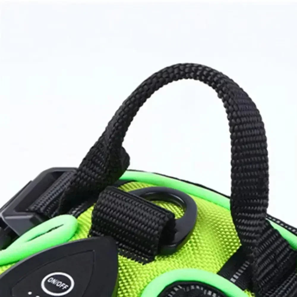 LED Light Up Dog Harness With Adjustable Rechargeable Battery