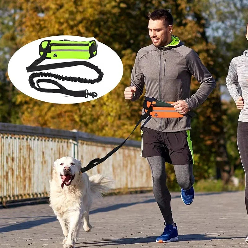 Hands Free Dog Leash With Reflective Waist Bag Retractable Belt