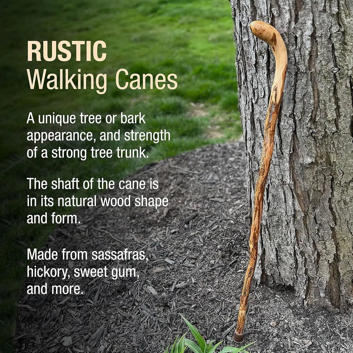 Sturdy Rubber Tip Wooden Walking Cane With T Handle For Adults Made In USA