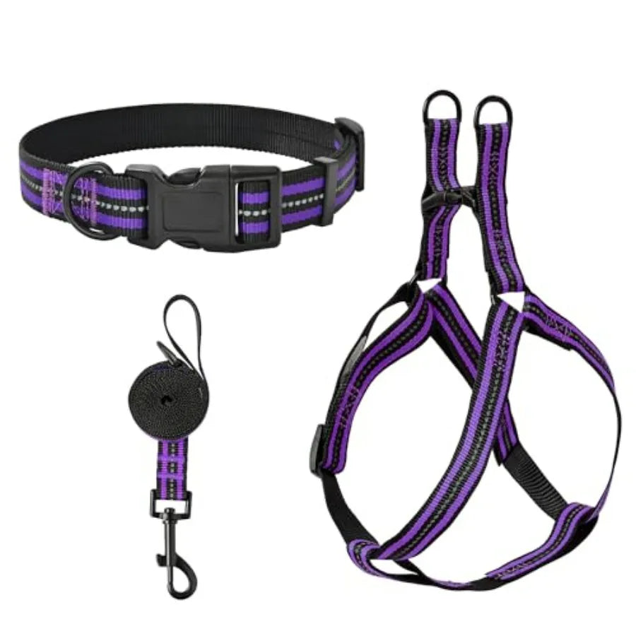 Night Nylon Double Adjustable Puppy Harness Collar Leash Set