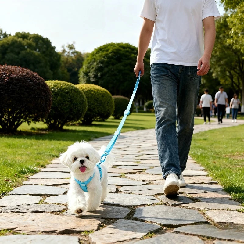 DKSTINYE Adjustable Puppy Harness Set With Reflective Collar And Leash