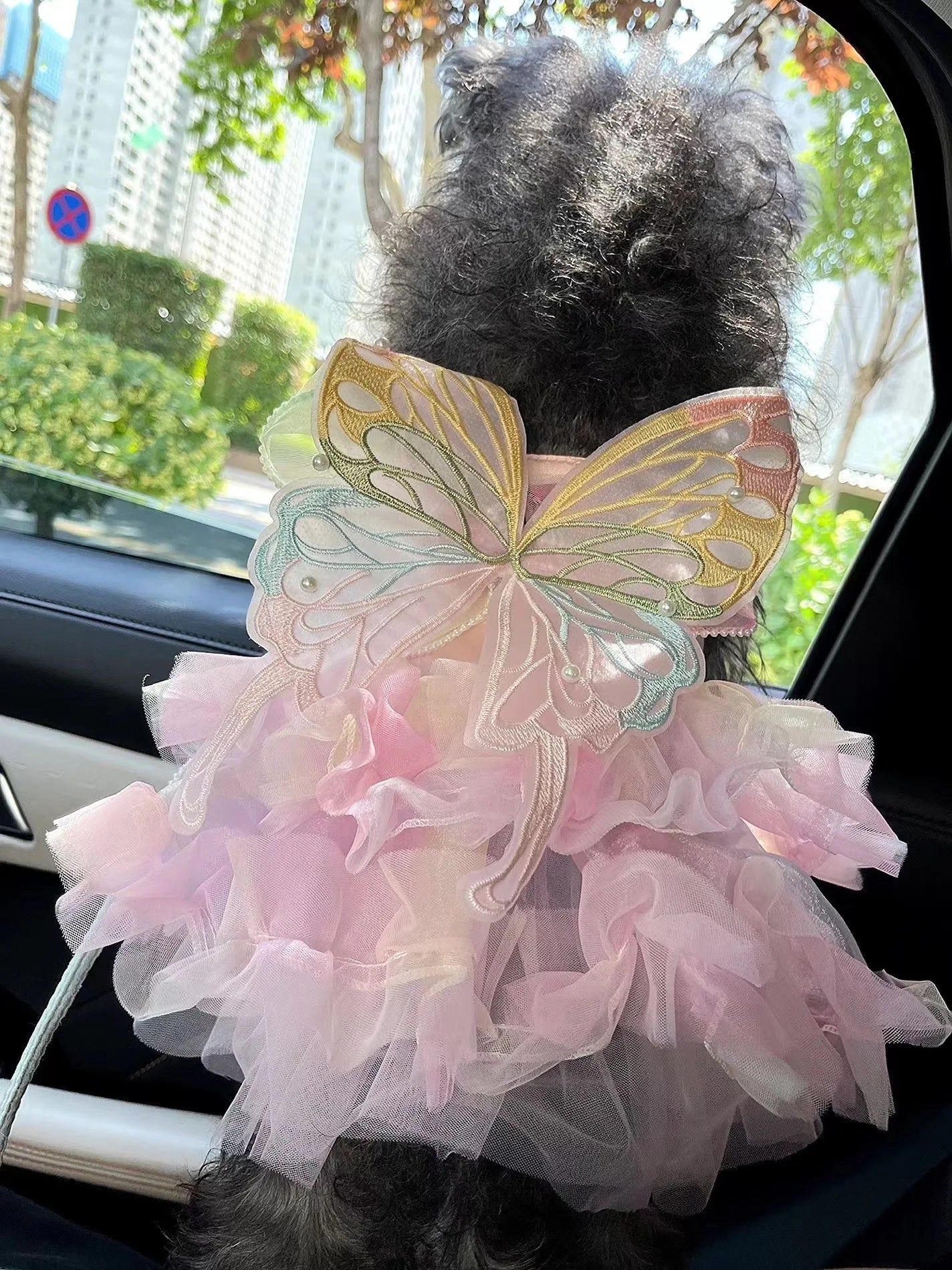 Dog Cat spring princess Dress Lace Skirt Pet Clothing Stripe Skirt Puppy Princess Apparel Cute Puppy Clothes Pet cat clothes