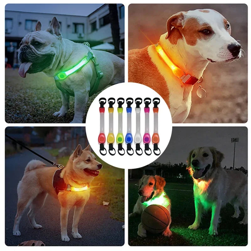 Waterproof Dog Anti Lost Safety Glowing Collar With LED Light