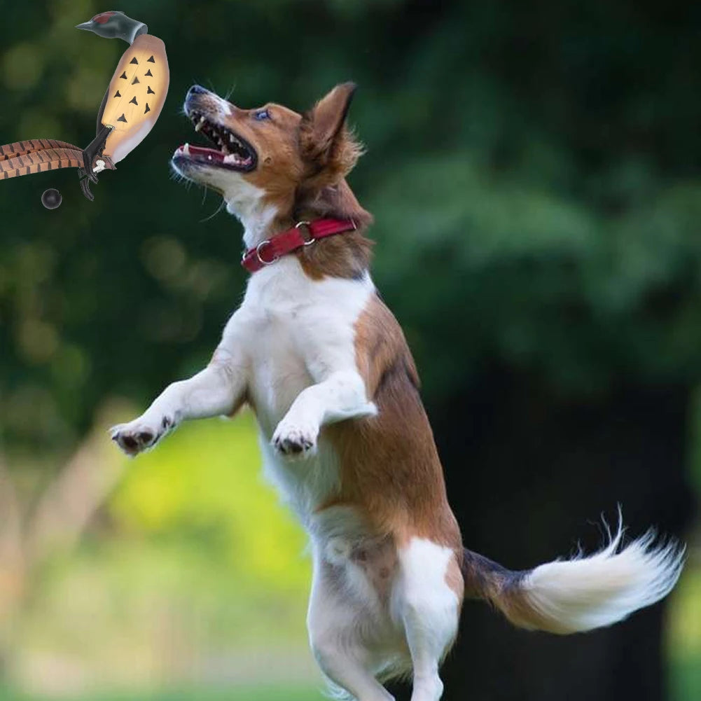 HiMISS Pheasant Dummy Bumper Toy for Retriever Training and Duck Recognition