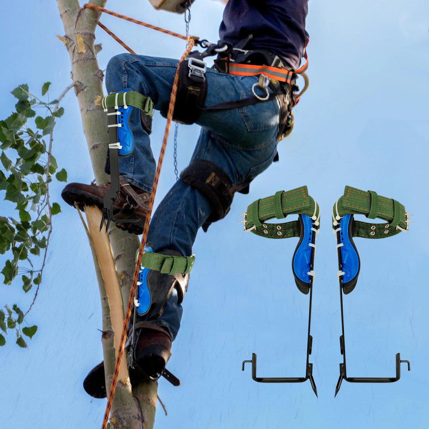 Professional Tree Climbing Spikes Kit With Safety Harness Capacity 220lbs