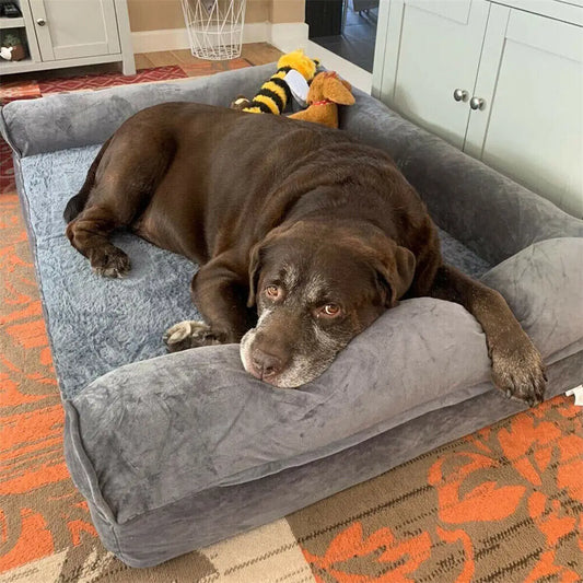 BINGOPAW Orthopedic Dog Bed With Removable Washable Cover - Paws and Pro's Outfitters