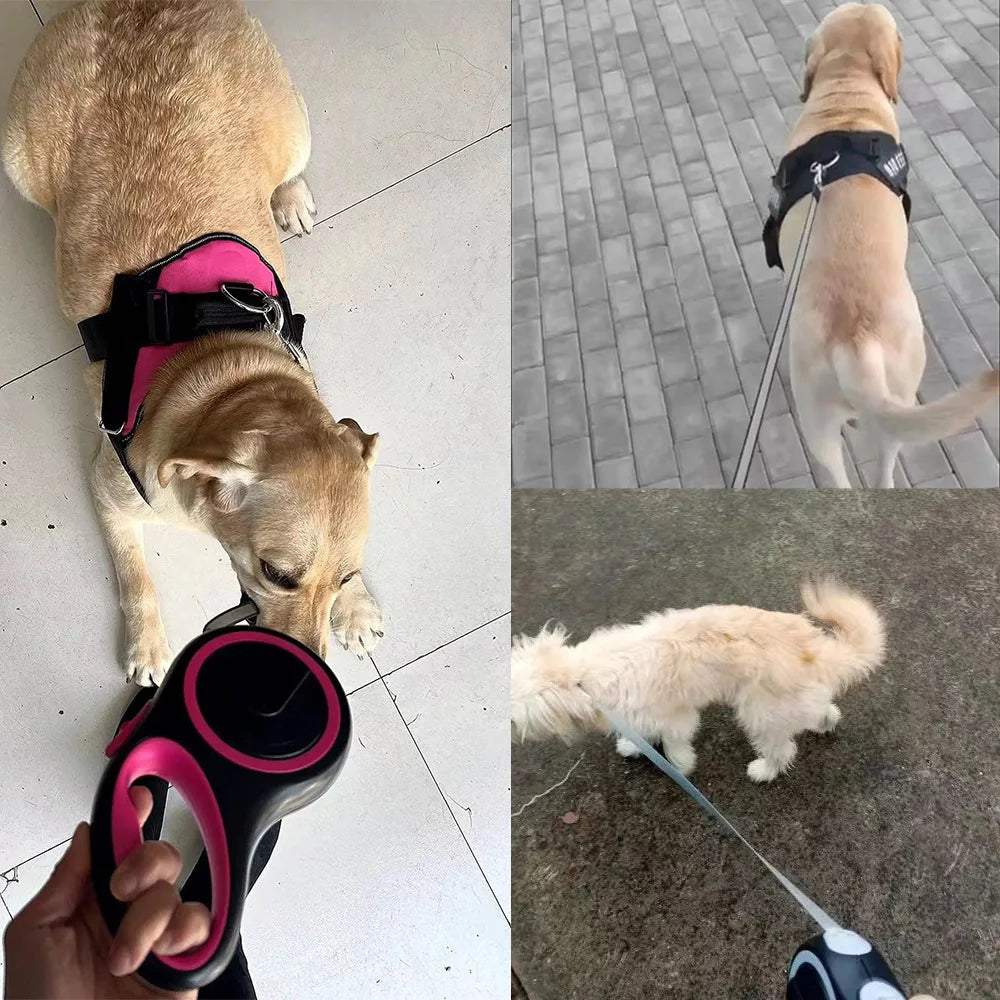 Durable Adjustable Retractable Dog Leash For Pets Everyday Use