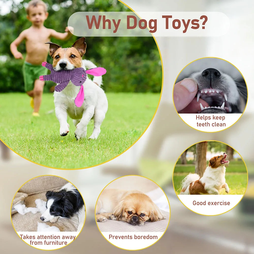 5 Pack Plush Squeaky Dog Toys Chew Bundle Value Collection