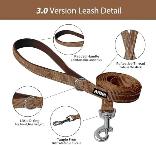 YTYIN Adjustable Dog Harness And Leash Set For Pets