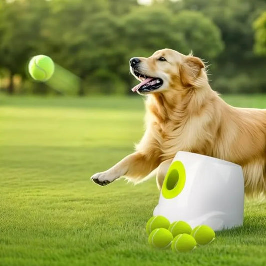Automatic Dog Ball Launcher Rechargeable Interactive Fetch Toy For Outdoor