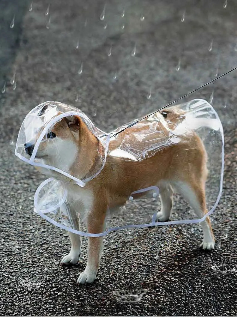 Transparent Waterproof Dog Raincoat With Hat