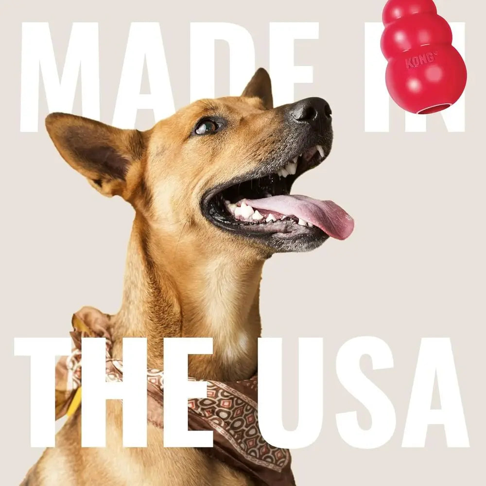 Durable Natural Rubber Disc Dog Toy For Medium And Large Dogs