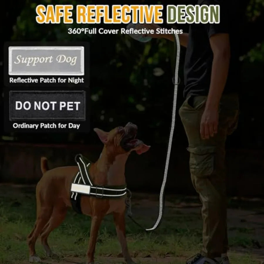 No Pull Dog Harness And Leash Set With Adjustable Soft Padded Vest Front Clip