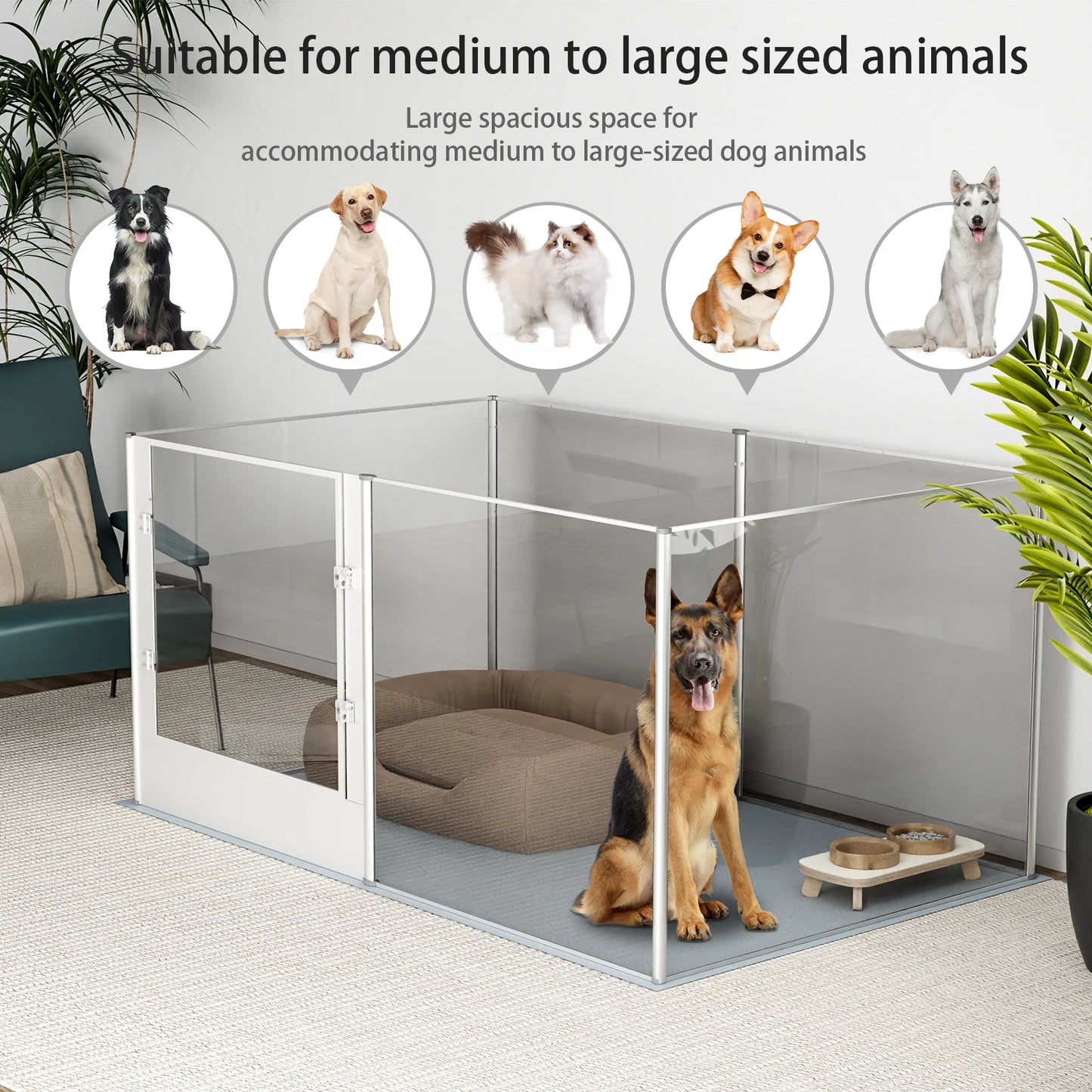 BINGOPAW Acrylic Dog Playpen Fence Indoor Exercise Pen