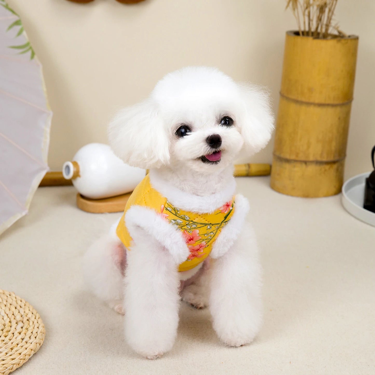 Warm Chinese Style Pet Dog Tang Suit Winter Jacket