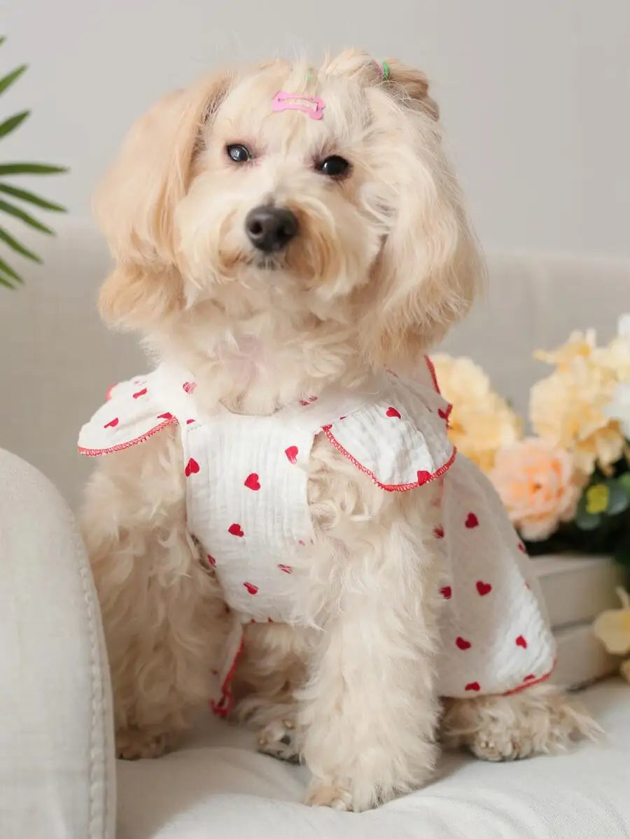 Valentines Day Heart Print Bow Decor Pet Dress For Dog