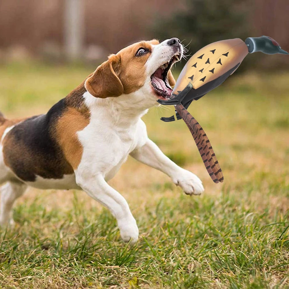 HiMISS Pheasant Dummy Bumper Toy for Retriever Training and Duck Recognition