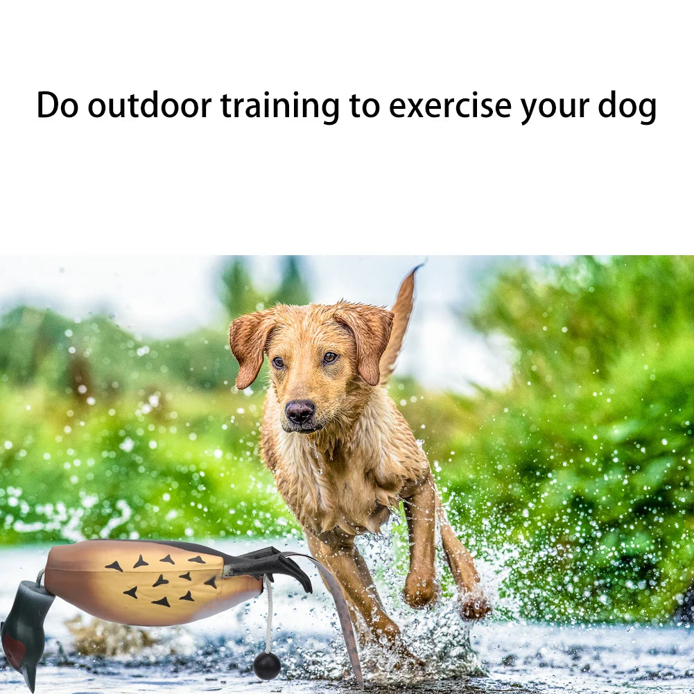 HiMISS Pheasant Dummy Bumper Toy for Retriever Training and Duck Recognition