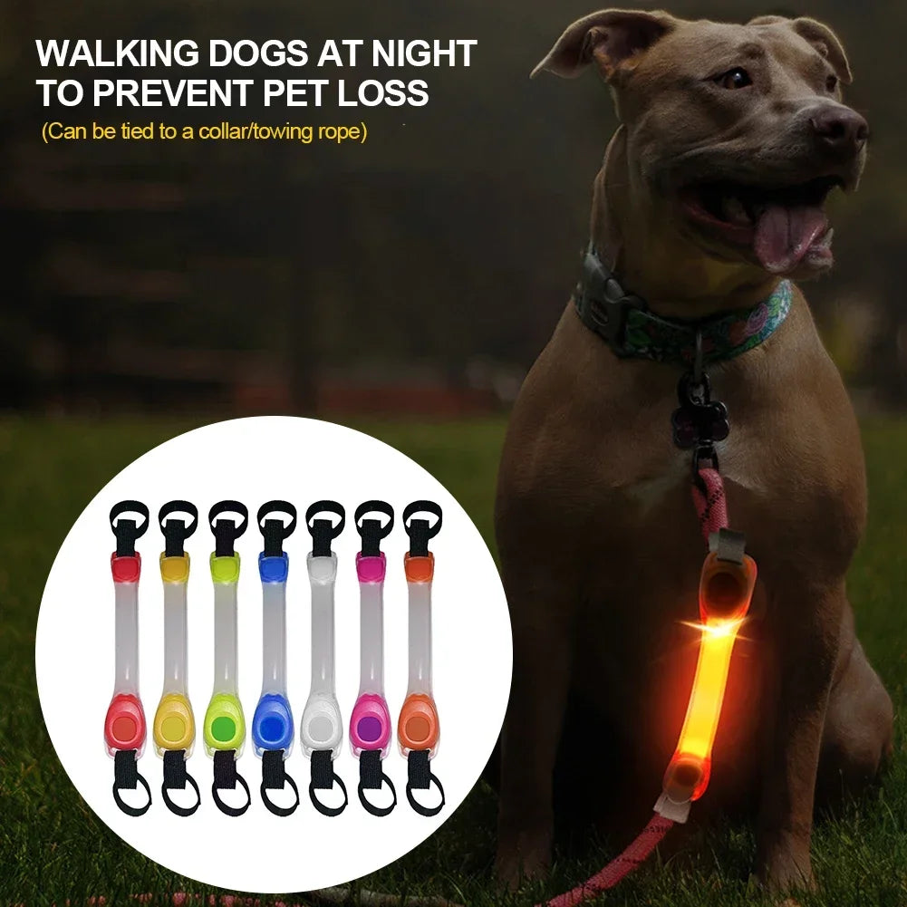 Waterproof Dog Anti Lost Safety Glowing Collar With LED Light