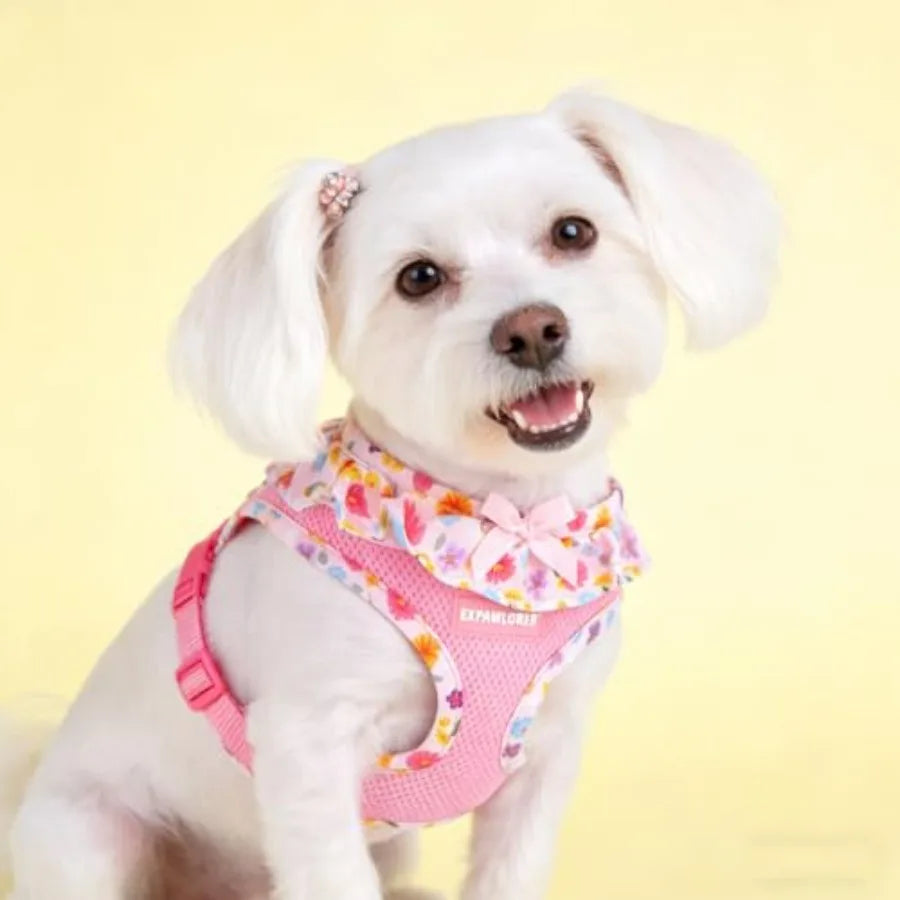 Dog Harness Leash Set Step In Adjustable NoChoke Mesh Vest