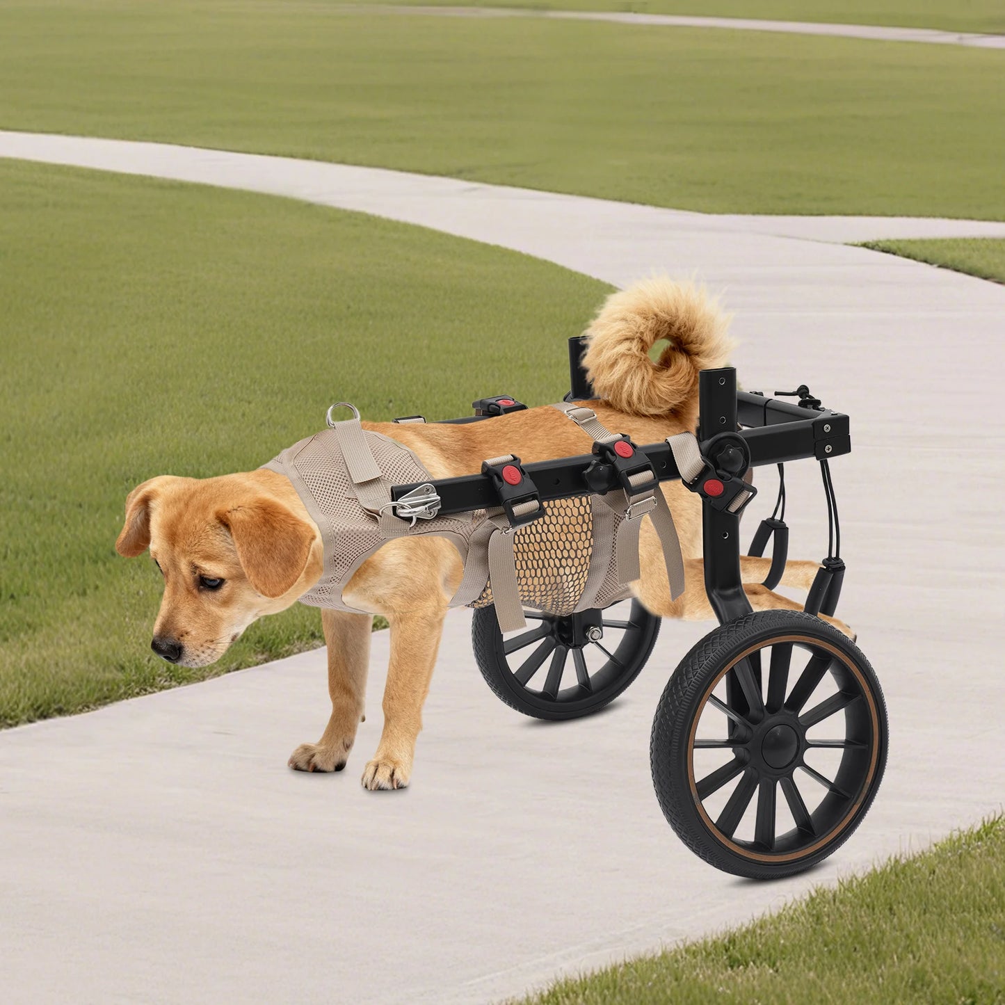 Adjustable Dog Wheelchair Hind Leg Walker Aluminum Alloy Pet Cart