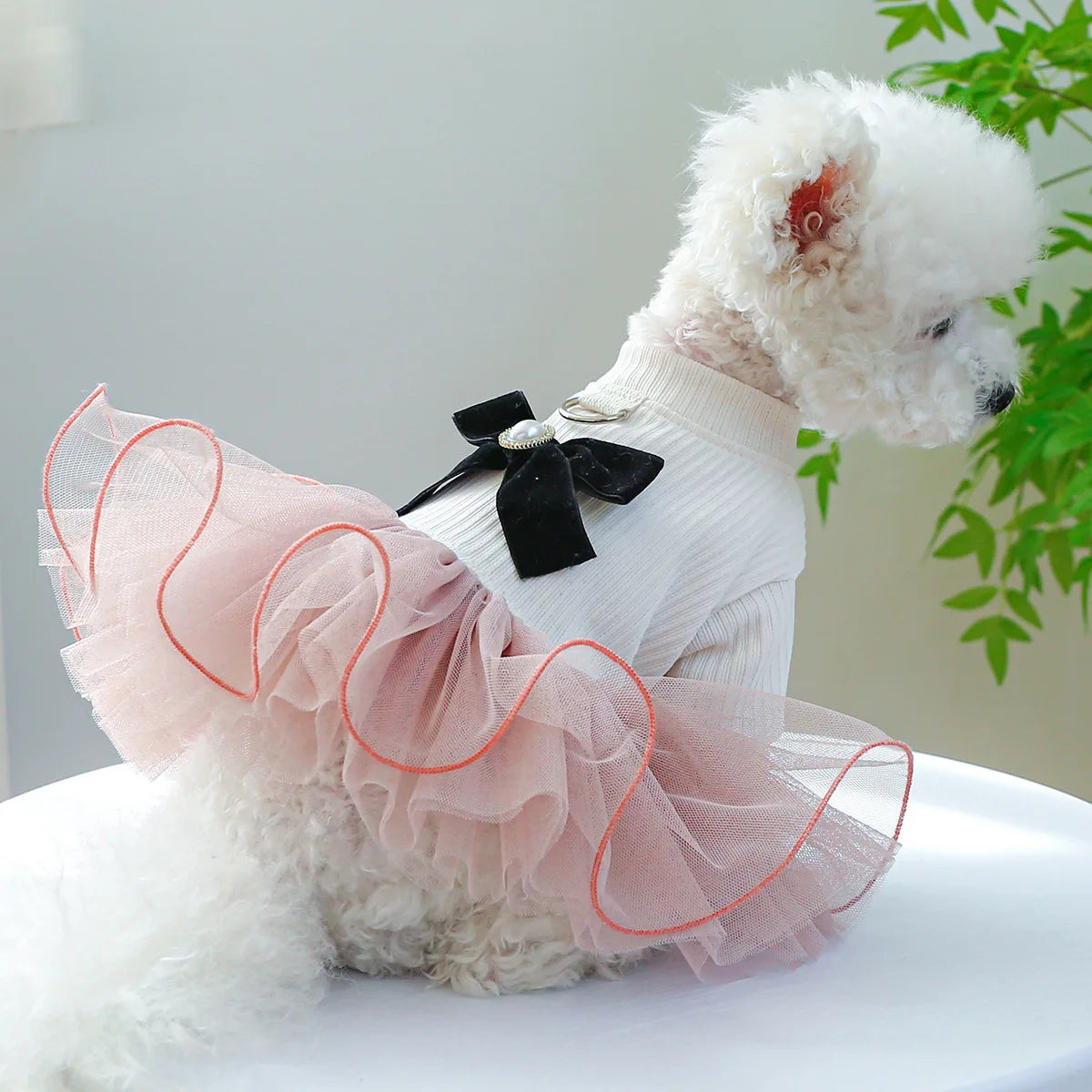 Christmas Checker Dog Dress From Pawstrip