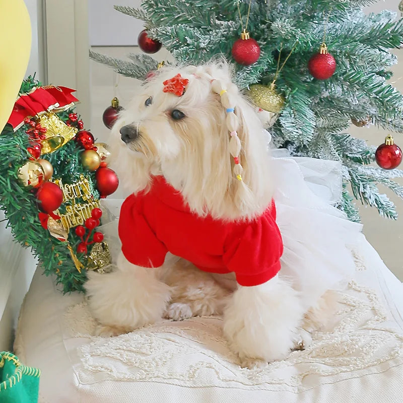 Christmas Checker Dog Dress From Pawstrip