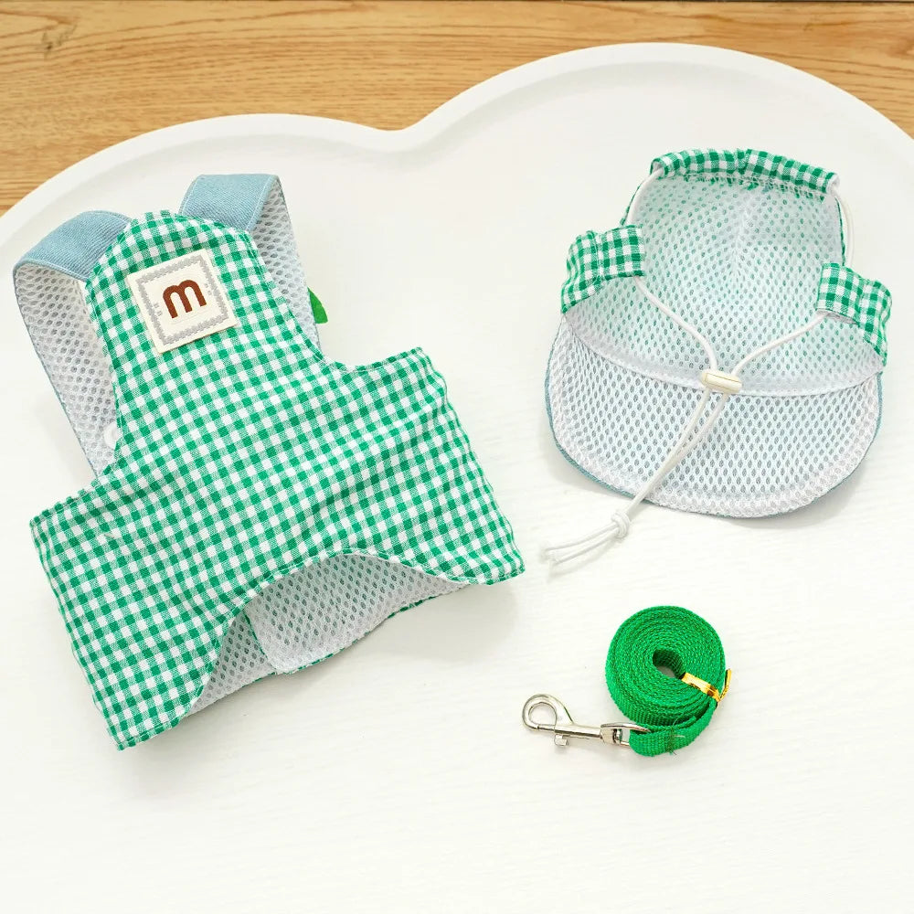 Duck Frog Spring Summer Pet Harness Set