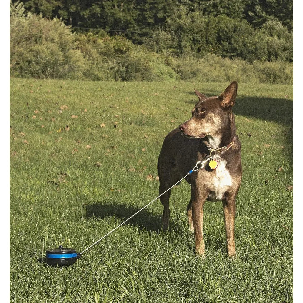 Lixit Bracket Mount and Stake Retractable Dog Leash Tie Outs