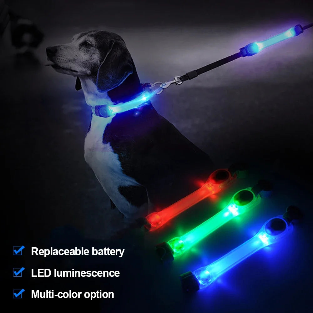 Waterproof Dog Anti Lost Safety Glowing Collar With LED Light