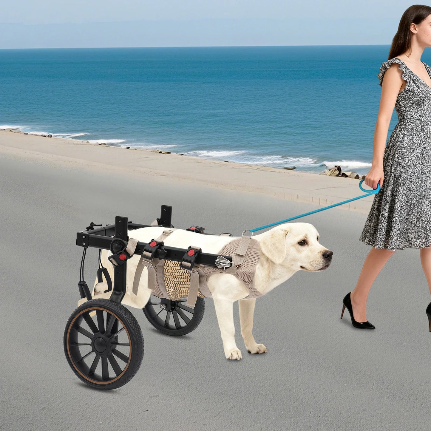Pet Walking Aid Two-Wheel Dog Wheelchair for Hind-Leg Support