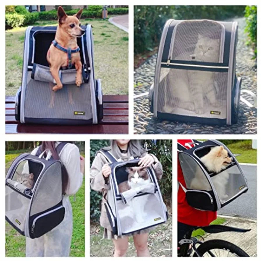 Traveler Bubble Backpack Pet Carriers For Cats And Dogs