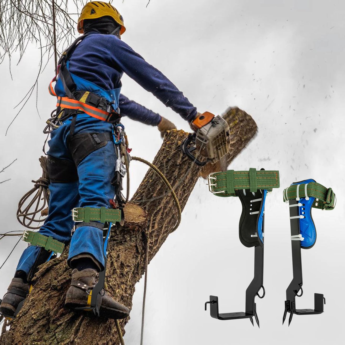 Professional Tree Climbing Spikes Kit With Safety Harness Capacity 220lbs