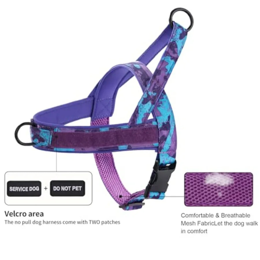 No Pull Dog Harness And Leash Set With Double Handle