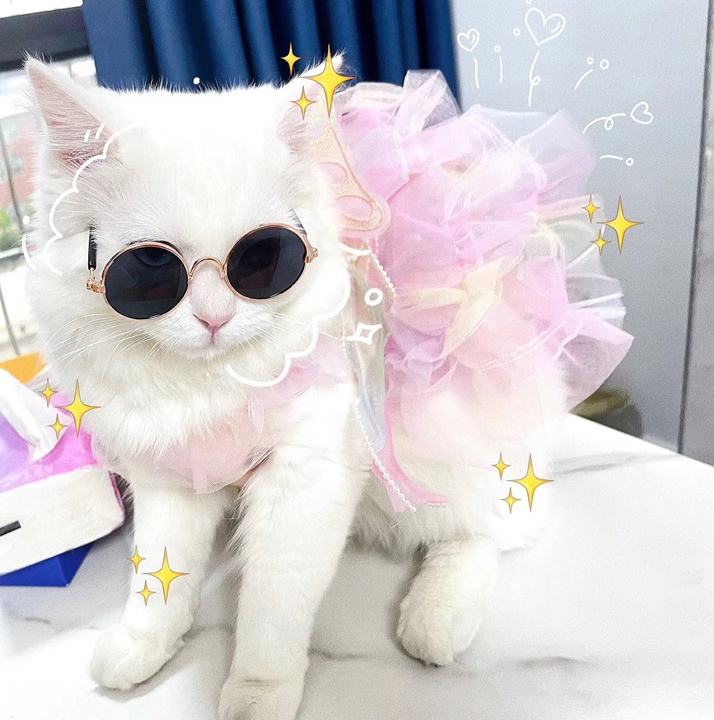 Dog Cat spring princess Dress Lace Skirt Pet Clothing Stripe Skirt Puppy Princess Apparel Cute Puppy Clothes Pet cat clothes