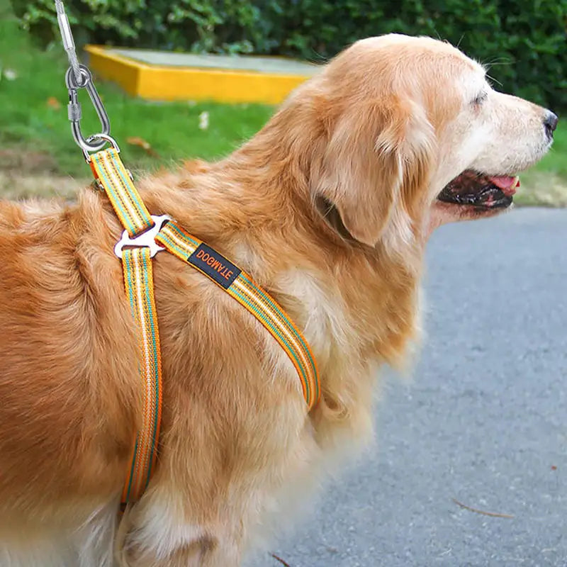 Double Headed Stainless Steel Dog Tie Out Cable Leash With Metal Buckle