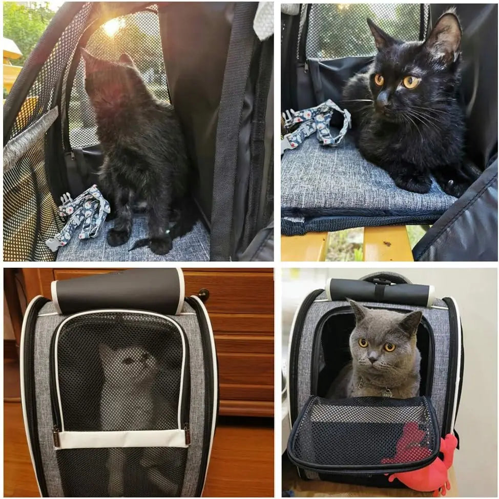 Pet Carrier Backpack With Window Blind For Cats And Dogs