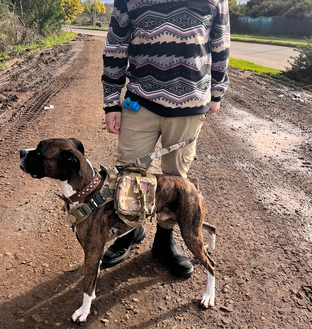 PETRAVEL Military Malinois Dog Harness Vest Set With Leash Patches