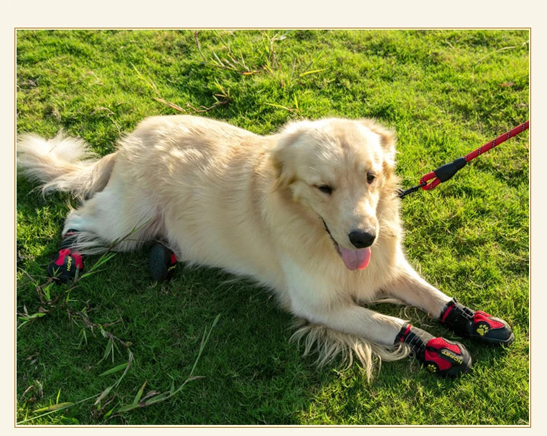 HCPET Waterproof Outdoor Dog Boots Set Durable Breathable