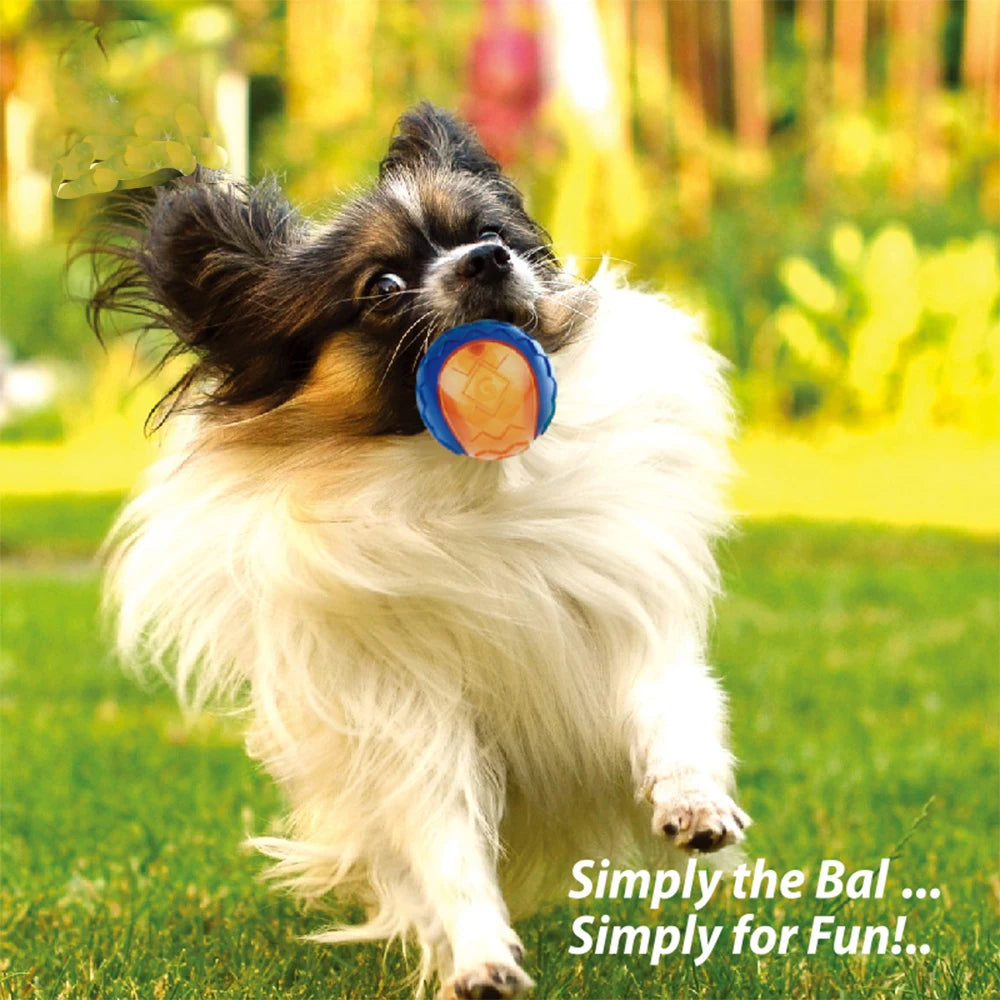 Dogs Squeaky Ball Toy Natural Rubber Chew For Outdoor Play