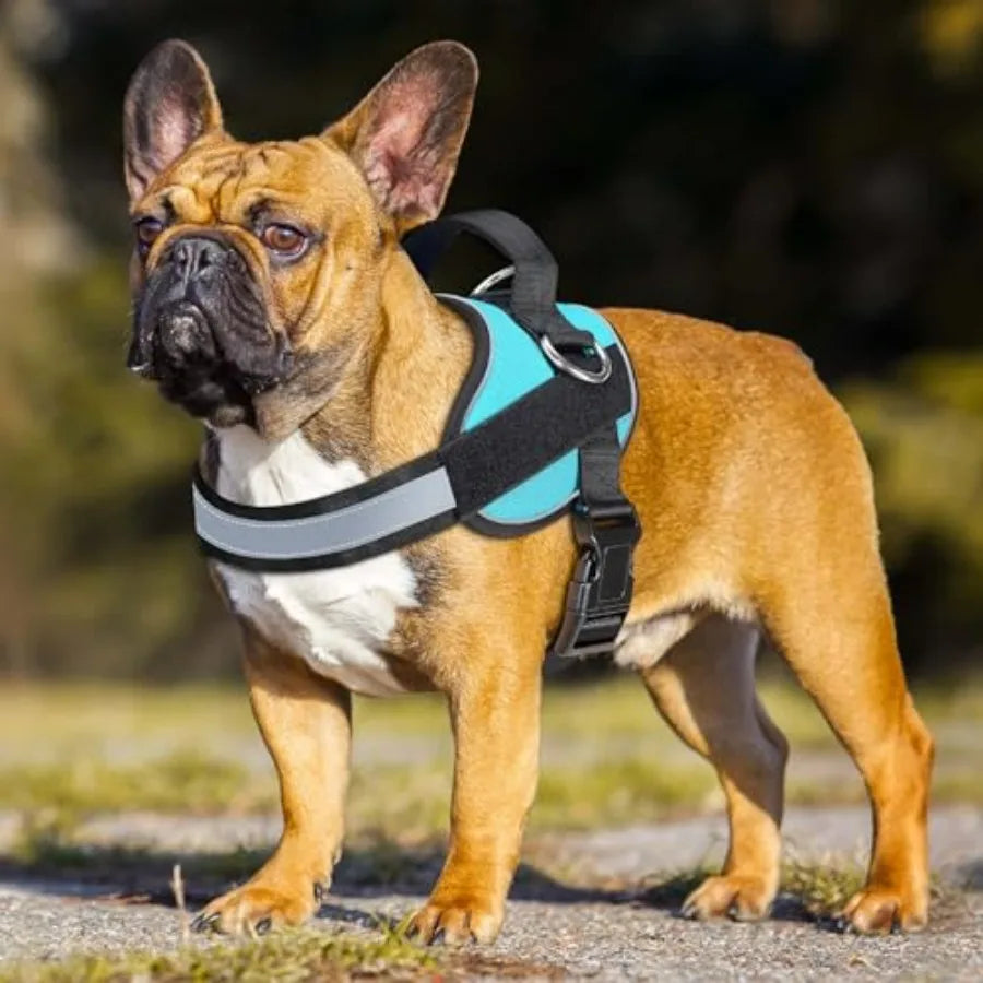 Essential No-Pull Dog Harness Reflective Vest With 3 Leash Clips