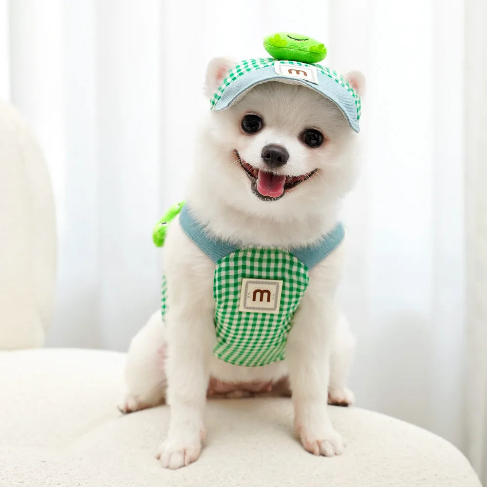 Duck Frog Spring Summer Pet Harness Set