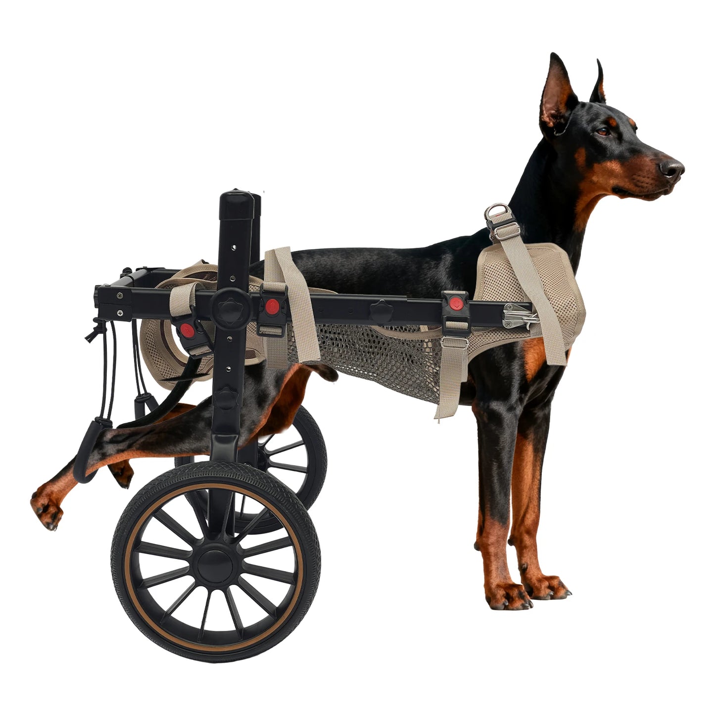 Adjustable Dog Wheelchair Hind Leg Walker Aluminum Alloy Pet Cart