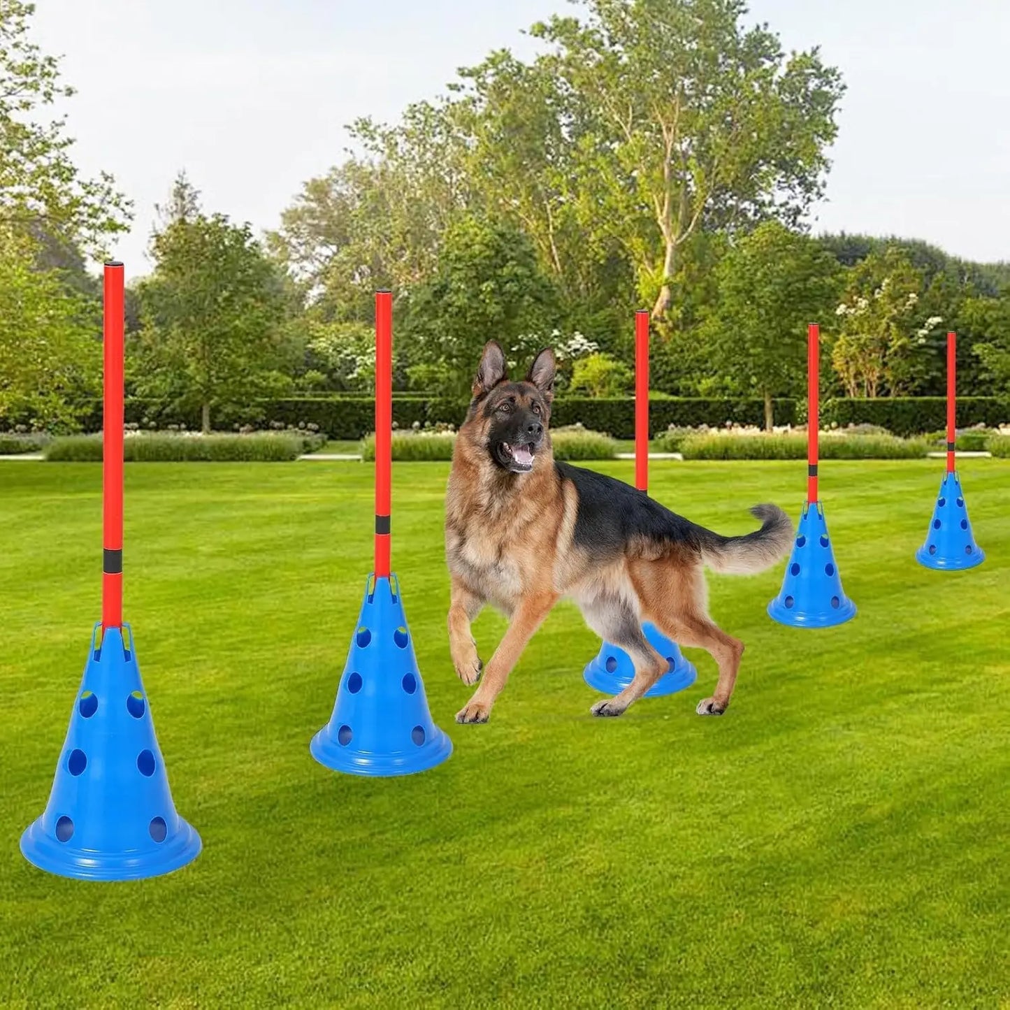 Dog Agility Hurdle With 12 Cones And 6 Rods Heavy-Duty