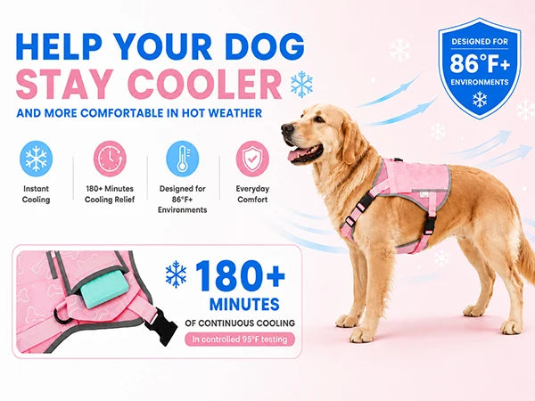 Cooling Vest For Dogs With Replaceable Cooling Packs, Lightweight
