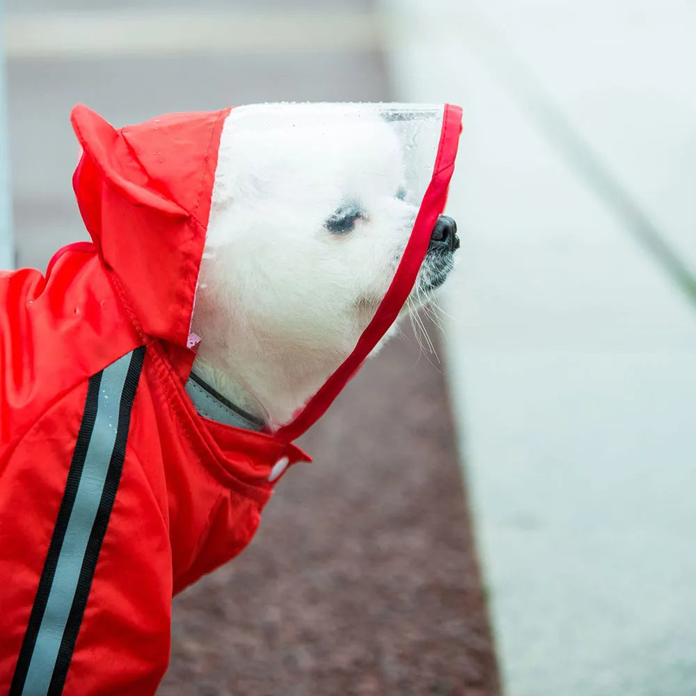 Cute Bear Shape Dog Raincoat With Hat And Reflective Strips
