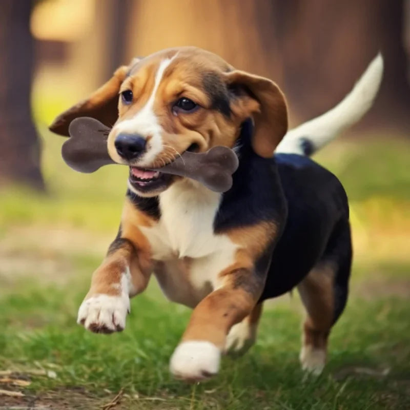 Natural Wooden Indestructible Dog Chew Toy For Puppies